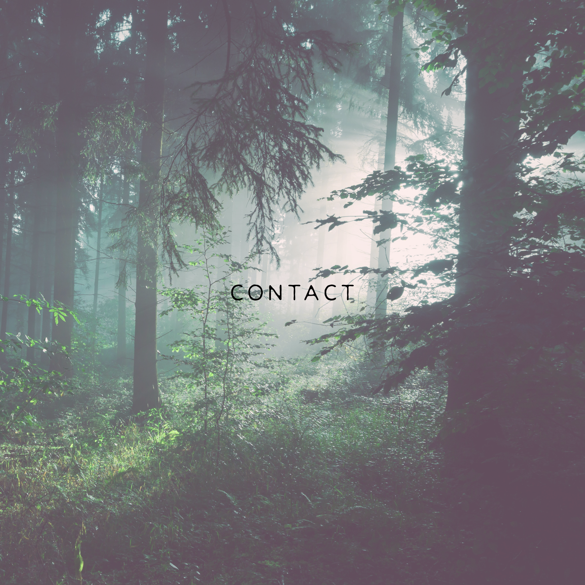 Banner Header Photo with text: "Contact"