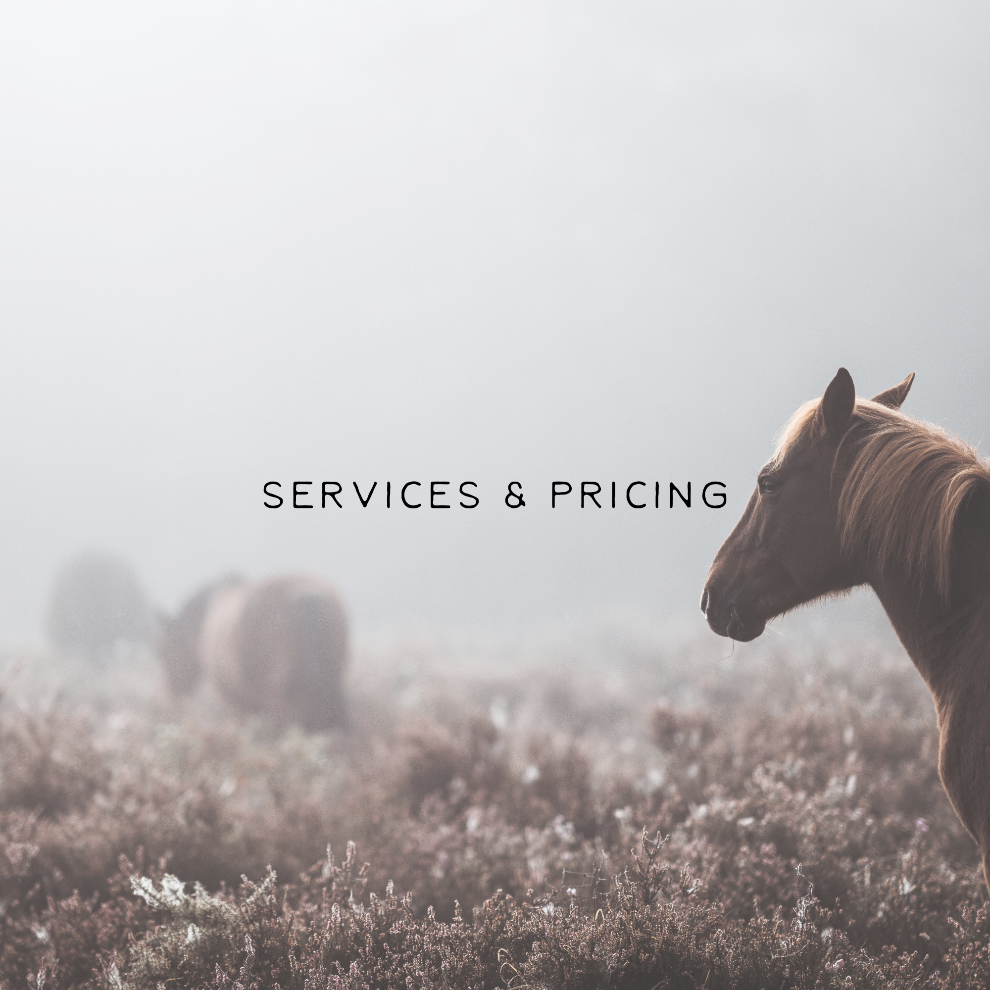 Banner header photo with text: "Services & Pricing"