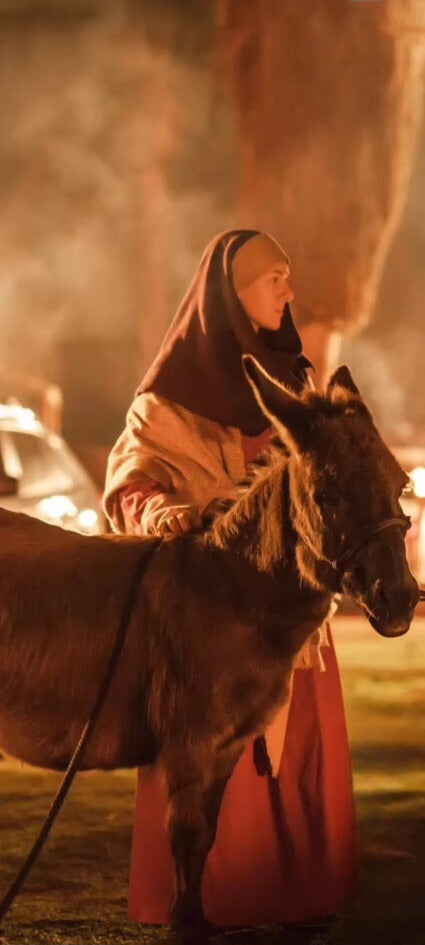 Photo of miniature donkey and handler in Biblical costume to support About Us Section.